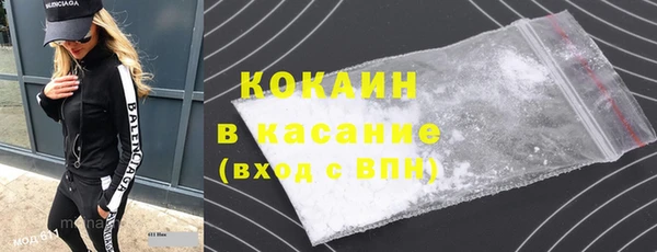 индика Зерноград