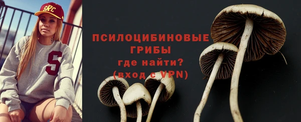 индика Зерноград
