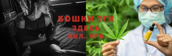 сатива Зеленокумск
