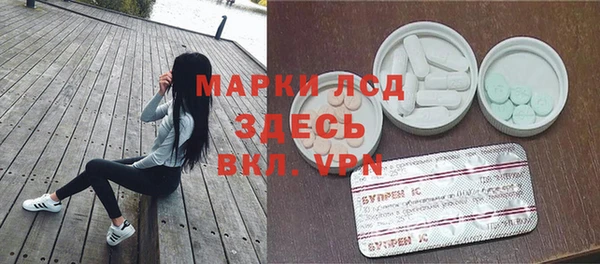индика Зерноград