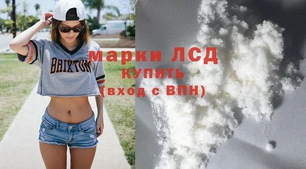 индика Зерноград