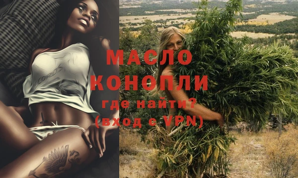 сатива Зеленокумск