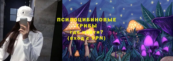 индика Зерноград