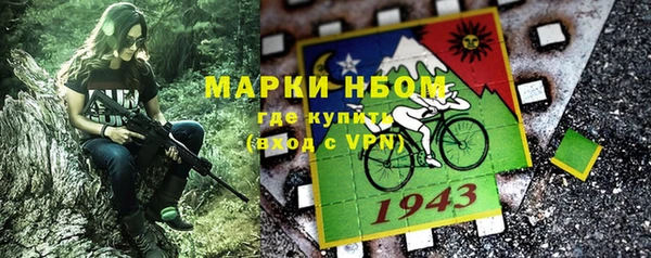 сатива Зеленокумск