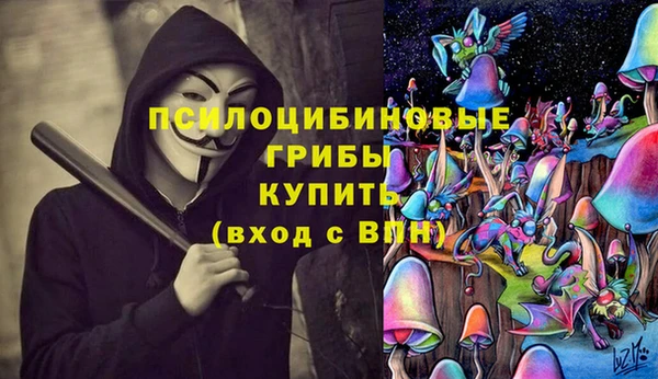 сатива Зеленокумск